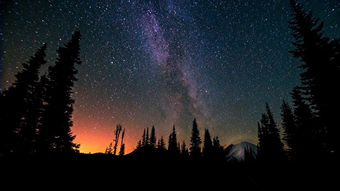 Night sky with Milky Way over silhouetted trees and mountain