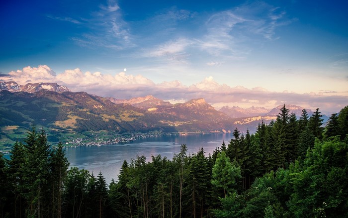 Lake and mountains with forest in Switzerland