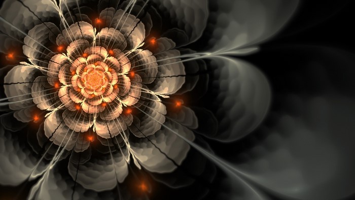 Glowing Abstract Fractal Flower Digital Art