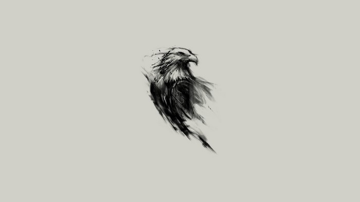 Sketch of a bald eagle in monochrome