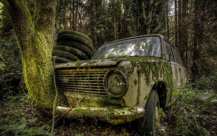 Abandoned Lada car covered in moss in a forest