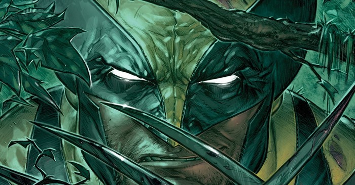 Wolverine from Marvel Comics