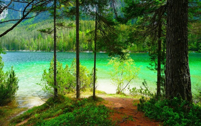 Green lake surrounded by a forest and mountains