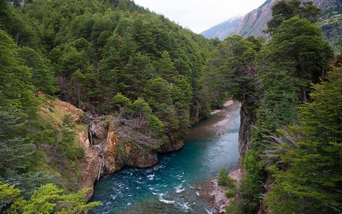 Turquoise River Flowing Through Lush Green Forest
