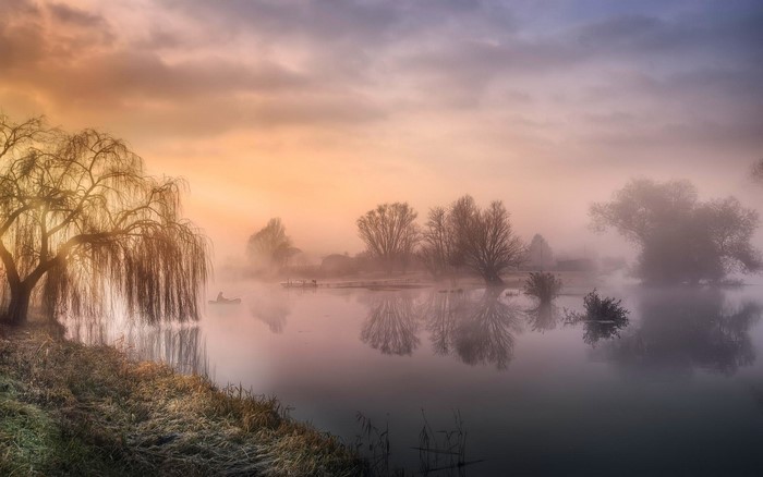 Misty Sunrise Over a Calm River with Trees