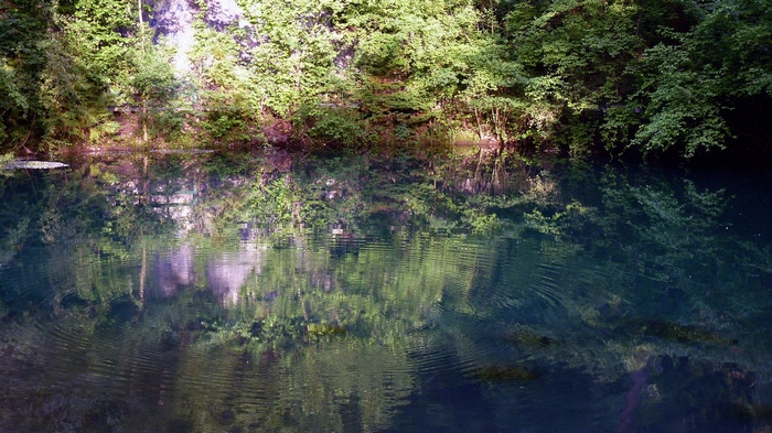 Trees reflecting in a dark blue lake