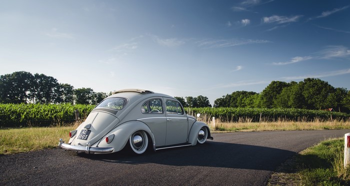 Volkswagen Beetle parked on a road with vineyards