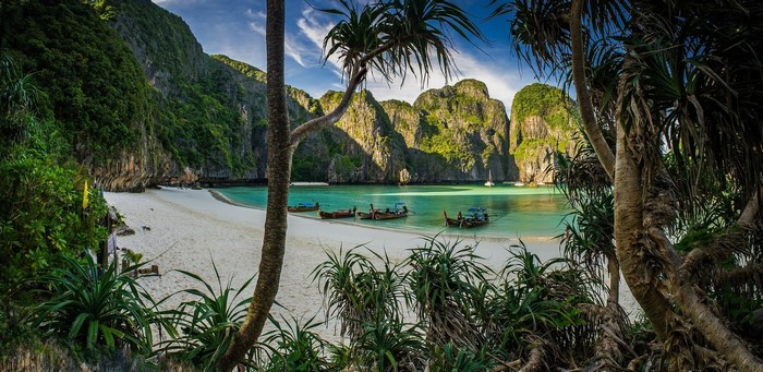 Maya Bay, Thailand with Longtail Boats and Limestone Cliffs