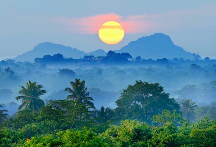 Misty mountain landscape at sunrise with palm trees