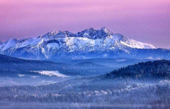 Snow-covered mountains under a pink sky with misty forests