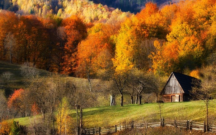 Autumn Barn on a Colorful Hill Landscape