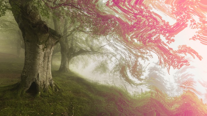 Psychedelic forest with trees and fog