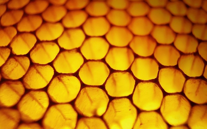 Macro view of a golden honeycomb