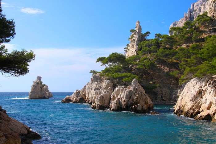 Rocky coast with pine trees and blue sea