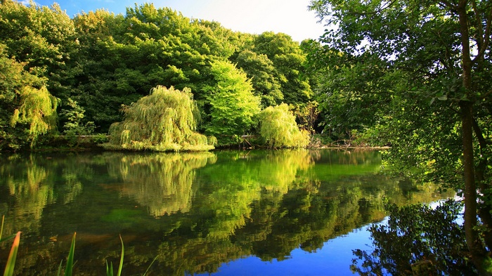 A tranquil lake reflects trees and sky