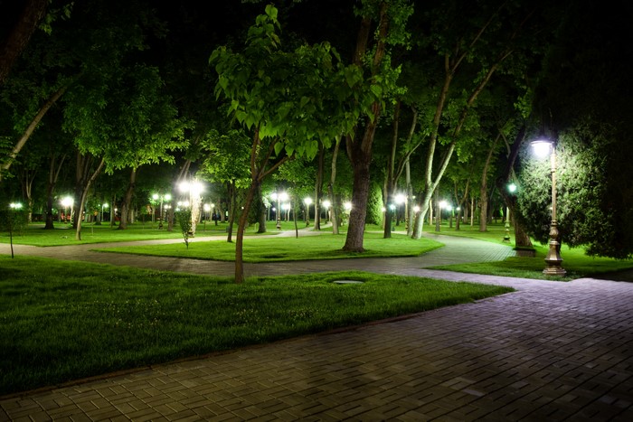 Night View of Illuminated Park in Uzbekistan