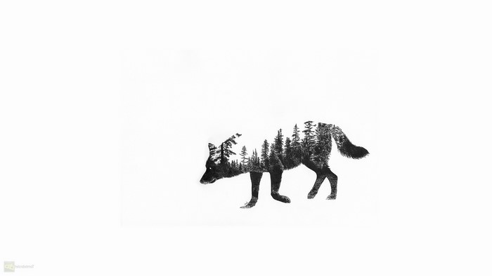 Wolf silhouette filled with forest trees