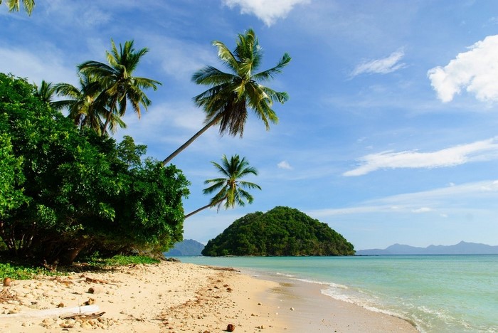 Tropical beach with palm trees and island