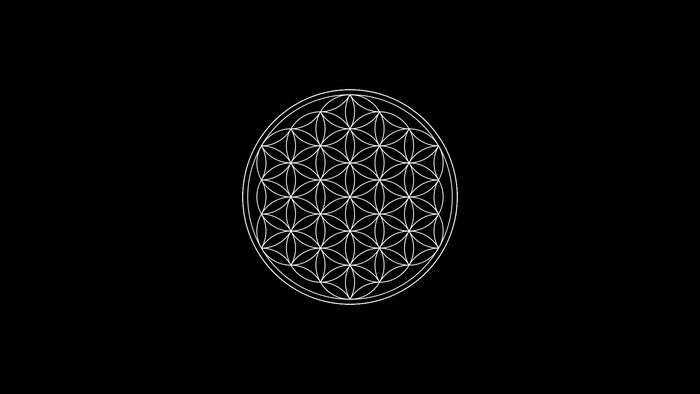 Flower of Life sacred geometry symbol