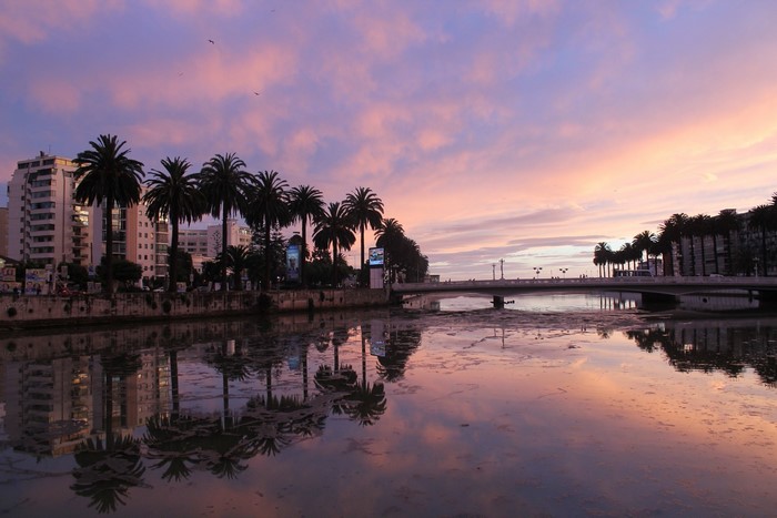 Sunset over river with palm trees and buildings in Vina del Mar, Chile