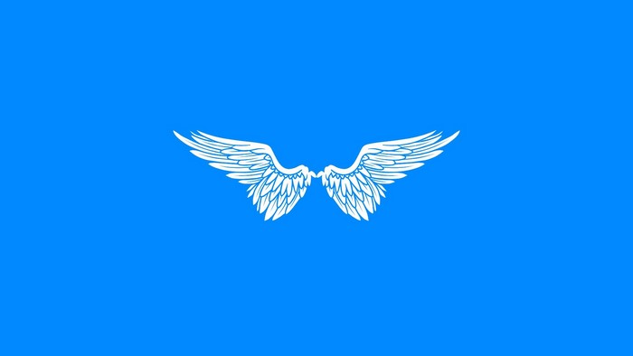 White wings on a blue background