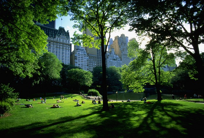 People relaxing in Central Park with New York City skyline