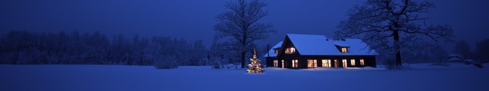 Snowy winter night with a lit Christmas tree and house