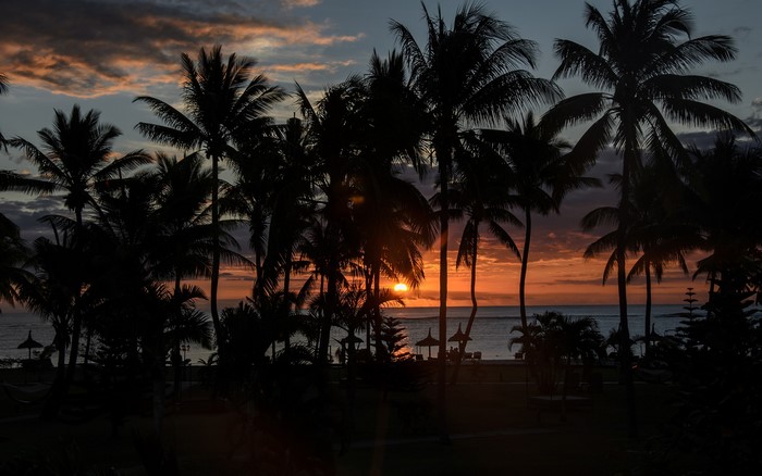 Palm trees silhouetted against a sunset over the ocean