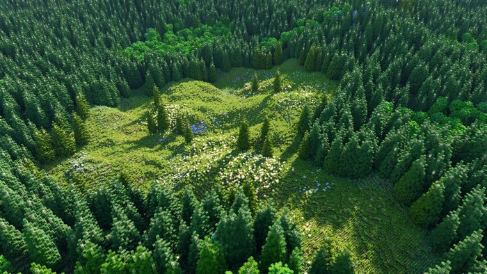 Minecraft forest with a clearing and flowers