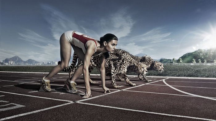 Runner and cheetahs at starting blocks on a track