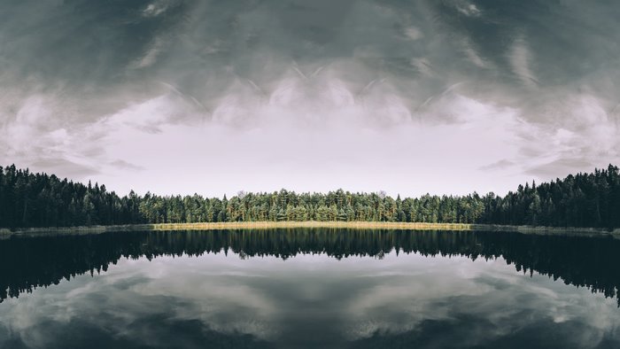 Symmetrical forest reflected in a lake under a cloudy sky