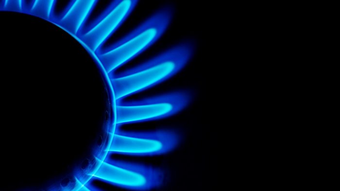 Blue gas stove flames on black background