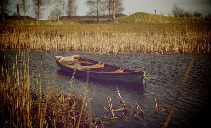 A lone rowboat floats in a calm body of water surrounded by reeds.