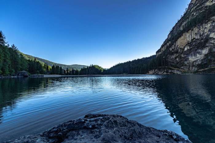 Peaceful Forest Lake with Clear Blue Sky 4K