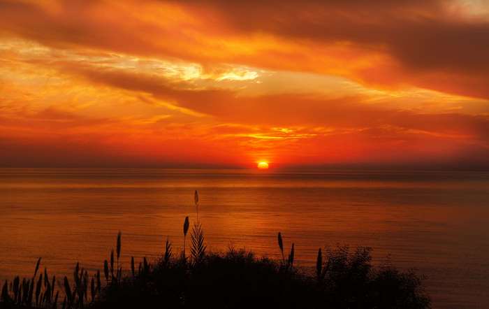 Sunset over the ocean with clouds and reeds