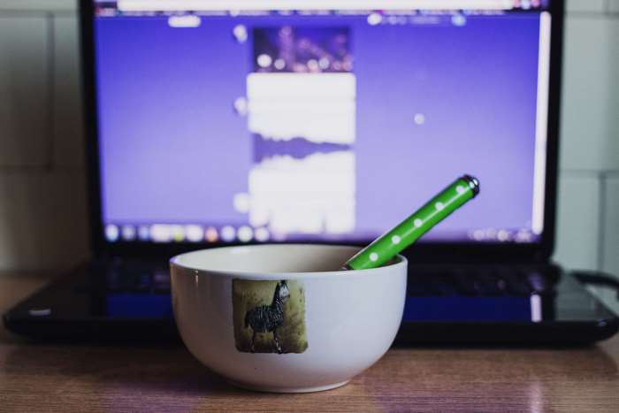 Bowl with zebra sticker and green pen in front of laptop