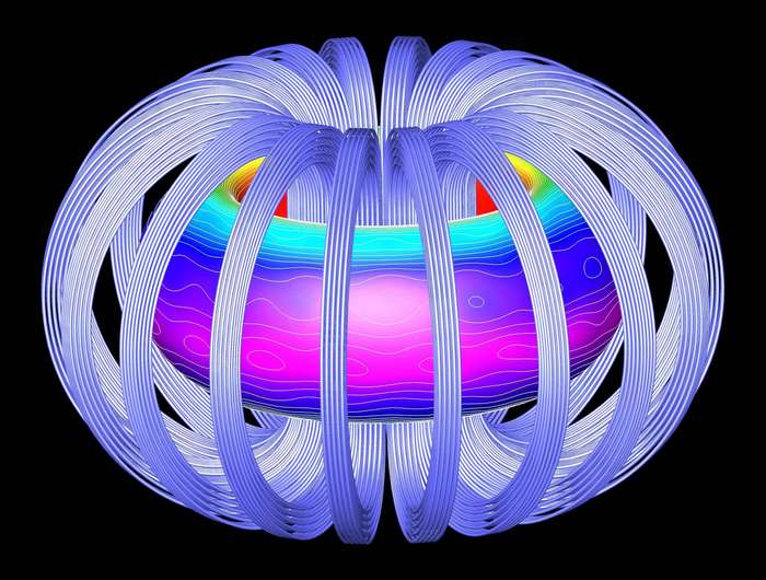 Magnetic confinement fusion device with plasma visualization