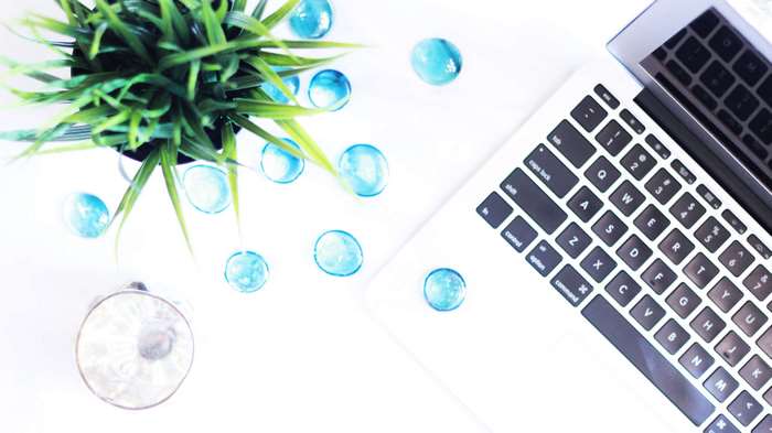 Flat lay of laptop, plant, and blue marbles