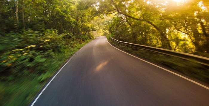 Road through a forest in Munnar, Kerala, India