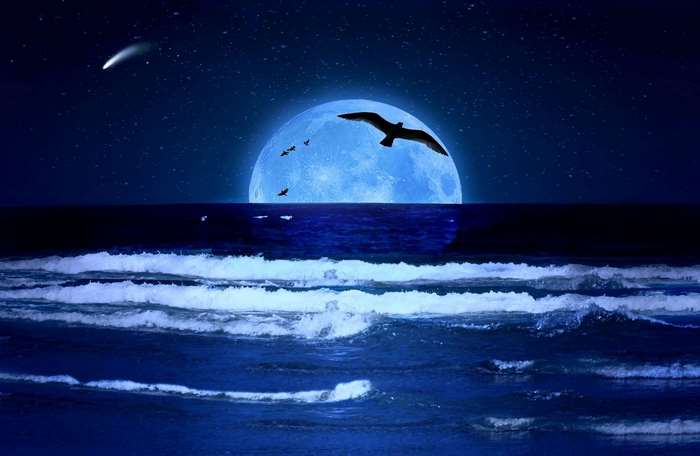 Birds flying over the ocean under a large blue moon and comet