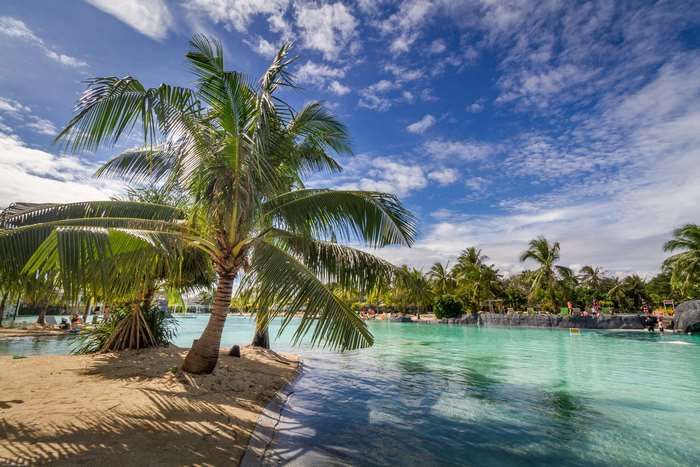 Tropical resort with palm trees and clear blue water