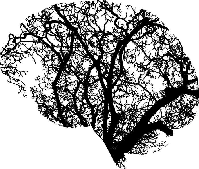 Abstract Brain Silhouette with Tree Branches
