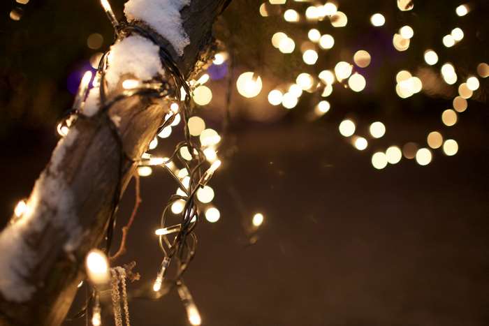 Christmas lights on a snowy tree trunk