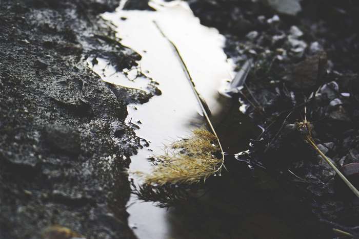 Water reflection on rocks with dry grass