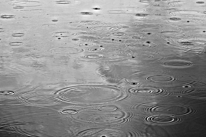 Raindrops creating ripples on the surface of water