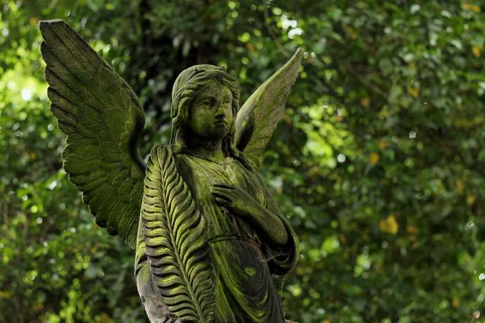 Stone angel statue covered in moss in a cemetery