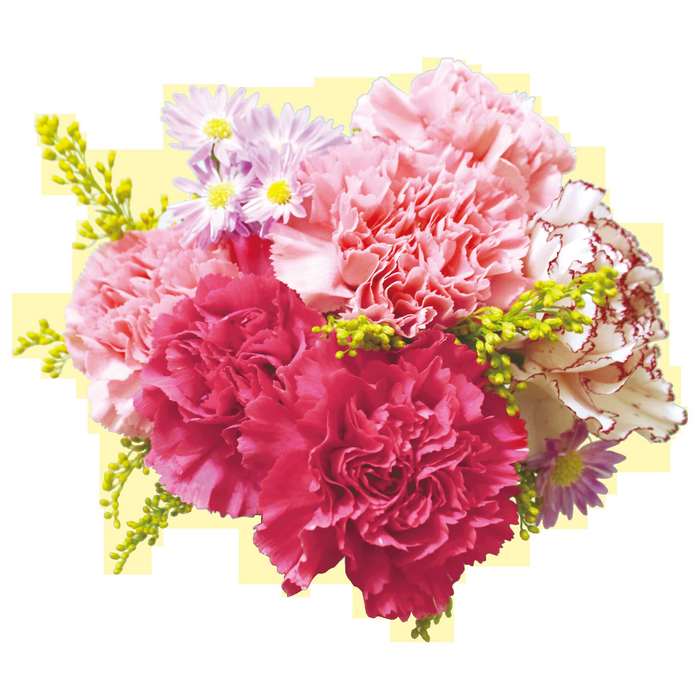 Pink and red carnation bouquet with small purple flowers