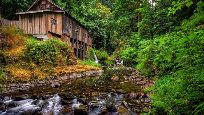 Old wooden mill beside a stream in a forest