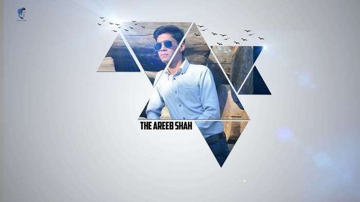 The Areeb Shah 4K