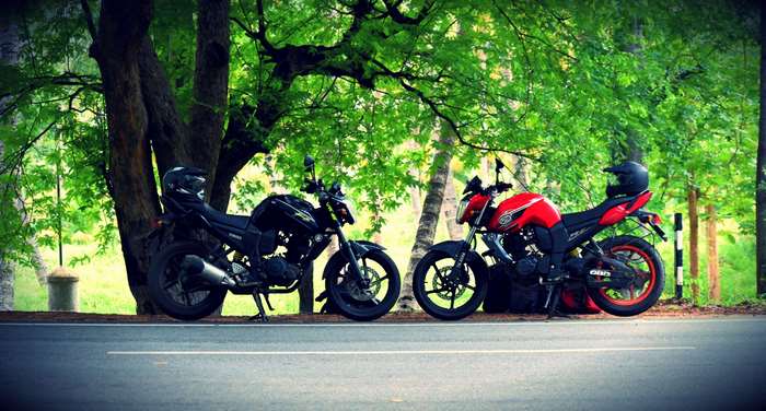 Two Yamaha FZS motorcycles parked under trees